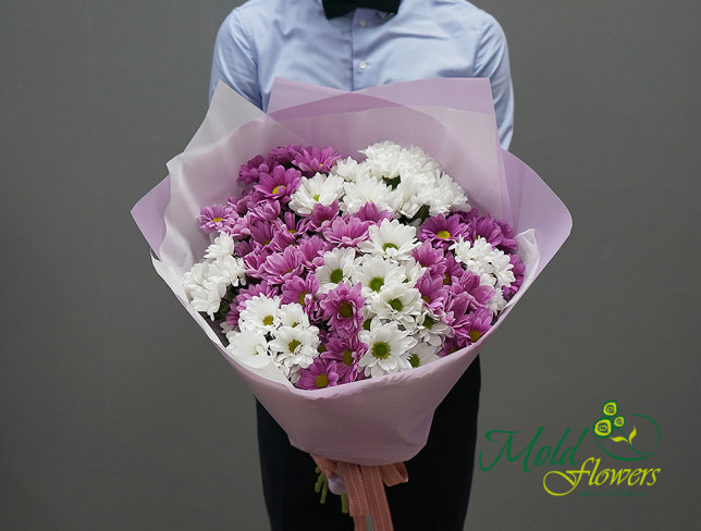 Buchet de crizanteme albe si roz foto